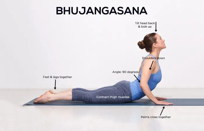 Bhujangasana (Cobra Pose) steps, cautions, benefits Finess Yoga