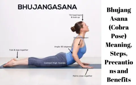 Bhujangasana (Cobra Pose) Meaning, Steps, Precautions and Benefits
