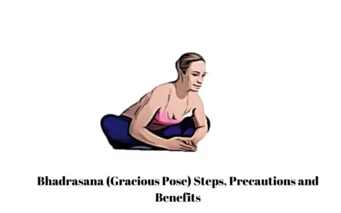 Bhadrasana (Gracious Pose) Steps, Precautions and Benefits