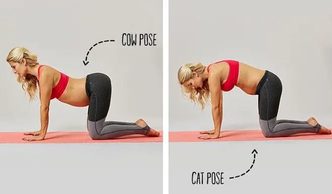 6 Yoga Poses to practice during Pregnancy