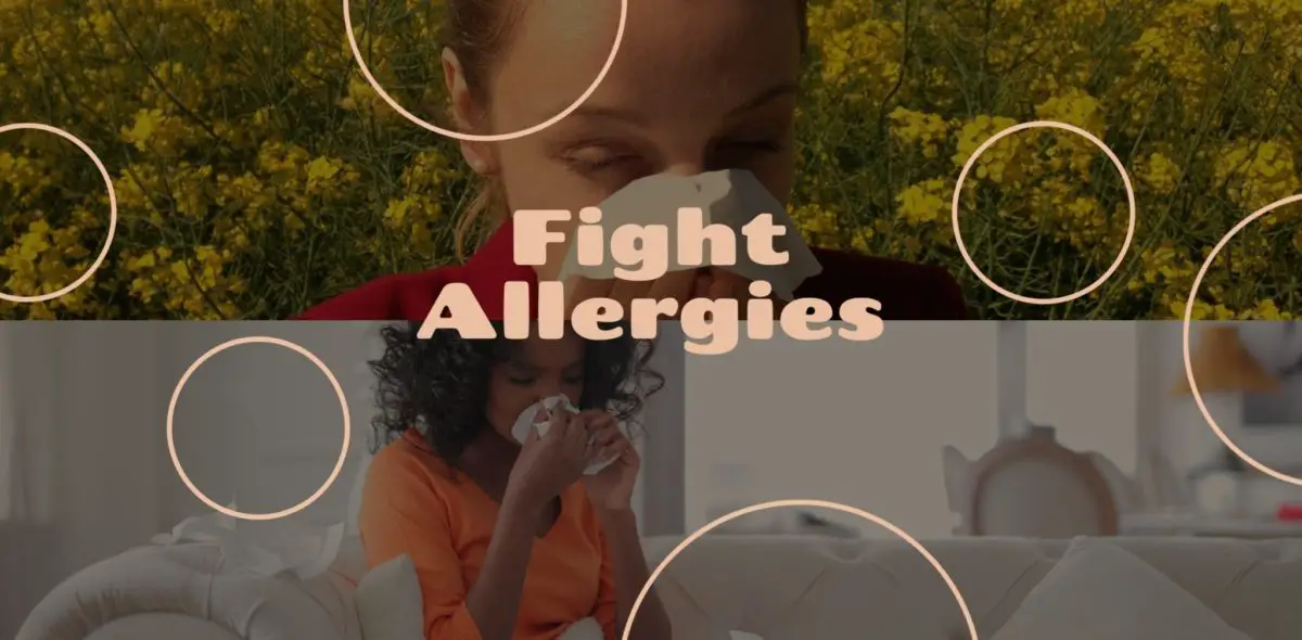 fight allergies