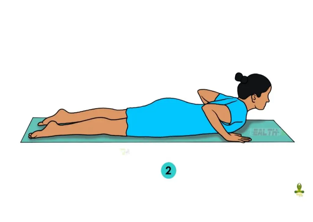 second step of Bhujangasana - yoga for flat tummy in 7 days
