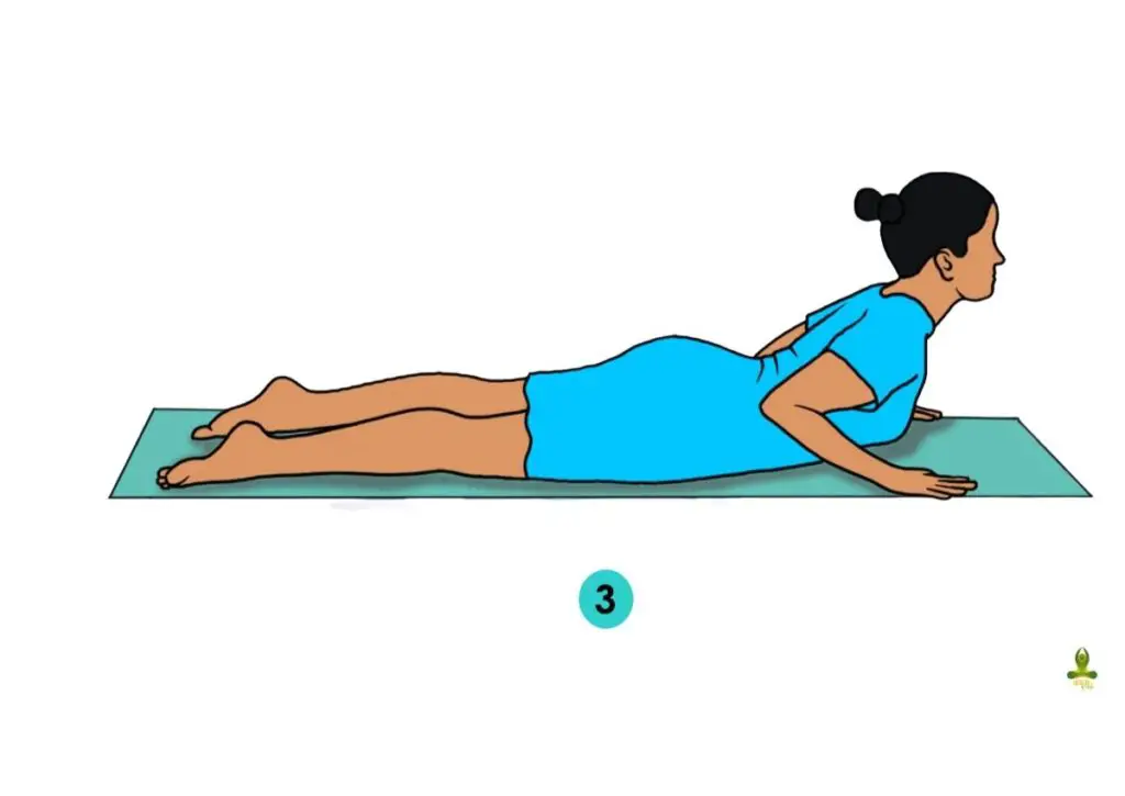 third step of Bhujangasana - yoga asanas to reduce belly fat