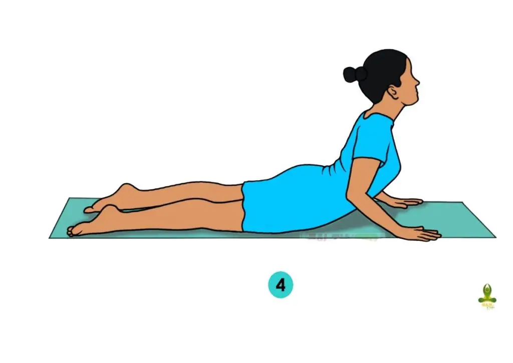 fourth step of Bhujangasana - yoga exercise to reduce belly fat