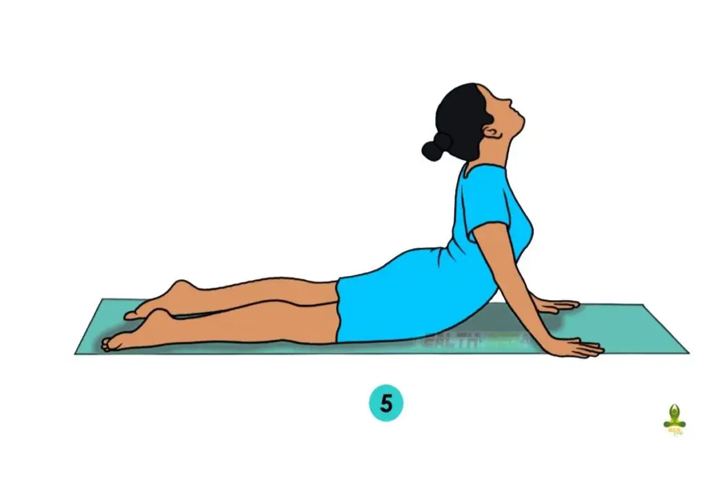 fifth and final step of perfect 
 Bhujangasana - Yoga for Flat Tummy
