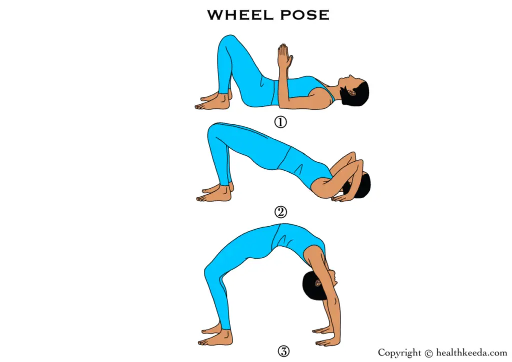 All three poses of Chakrasana or wheel pose - reduce fat face