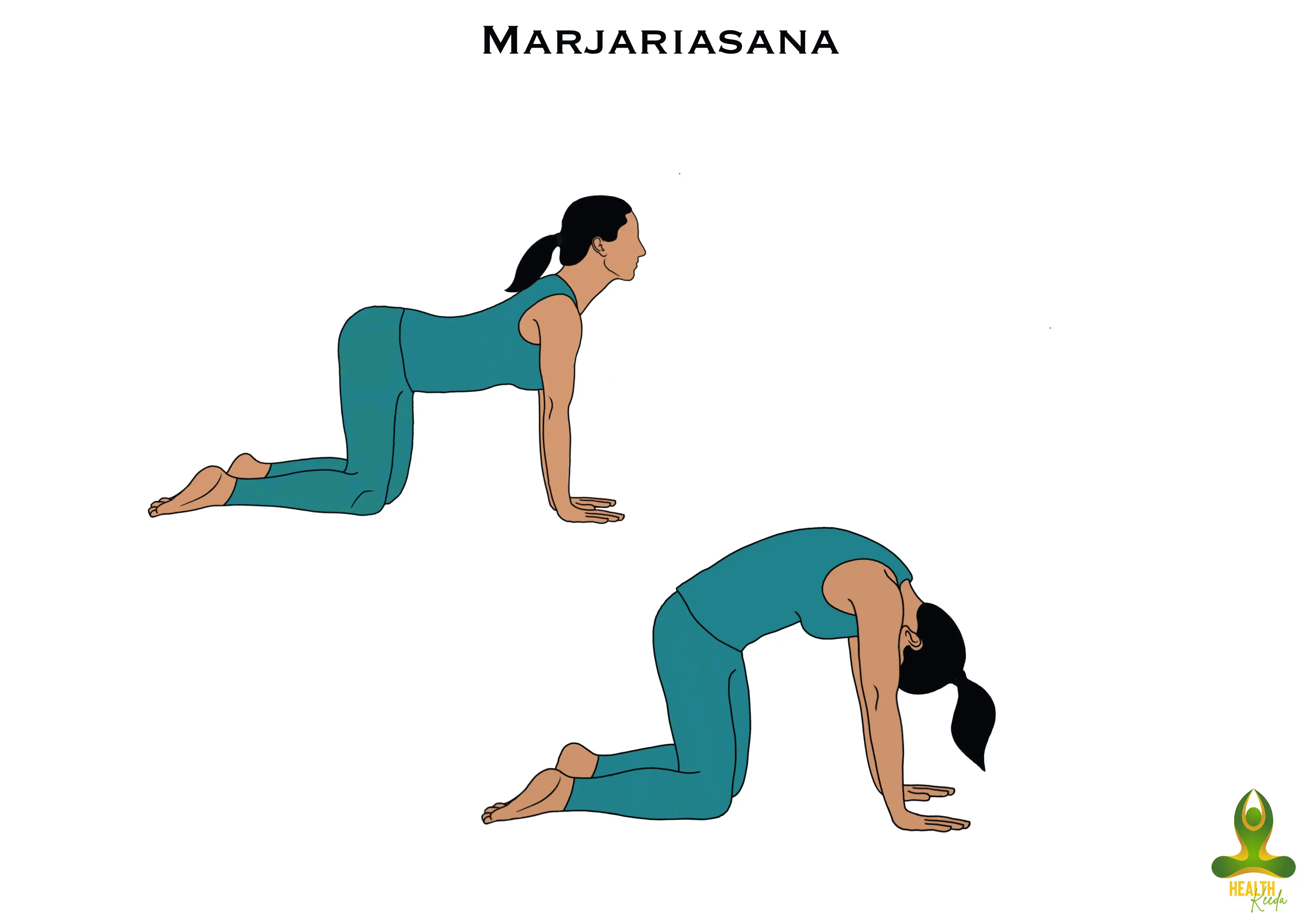 All two steps of Marjariasana or Cat stretch - Yoga for bloating