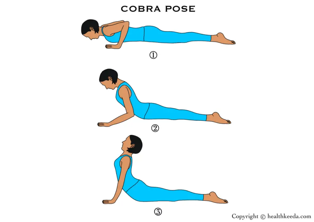 All three poses of Bhujangasana or Cobra Pose - yoga to reduce back neck fat