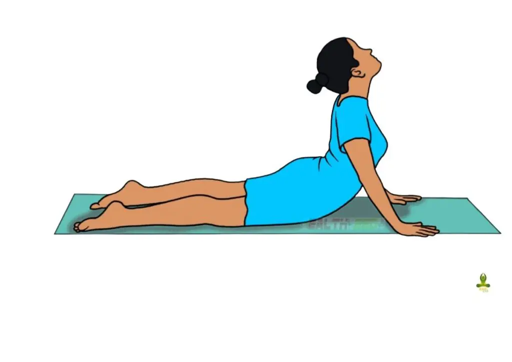 Upward facing dog pose - yoga for back pain