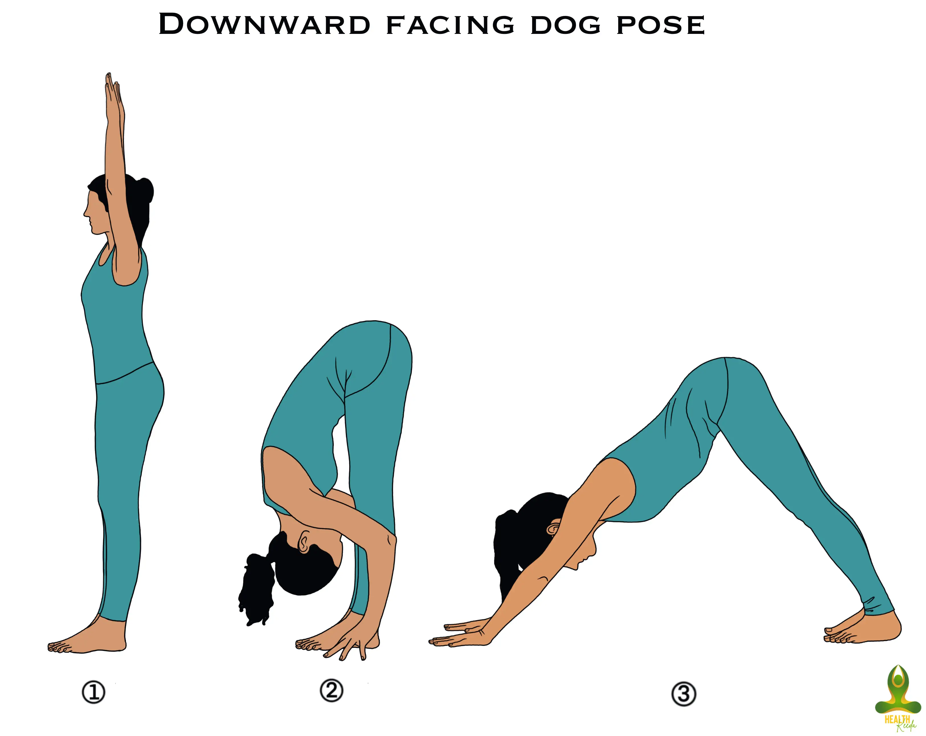 All three poses of Adho Mukha Svanasana or Downward-facing Dog Pose - yoga poses for menopause