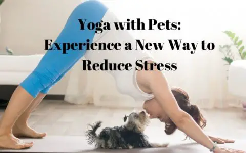 Yoga with Pets: Experience a New Way to Reduce Stress