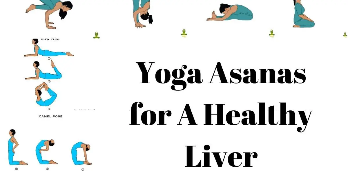 Yoga asanas for a healthy liver